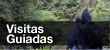 Visitas Guiadas