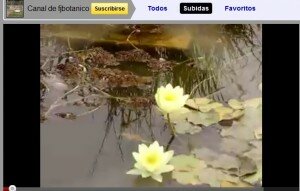 TV Botanica